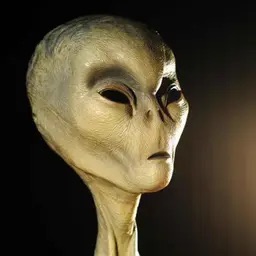 美国会通过……确认外星人存On吗？ card icon