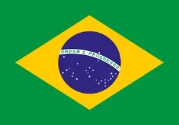 BrazilPresidentElections card icon