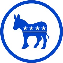 2028year民主PartyPresidential Candidate card icon