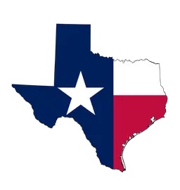 Texas SenateElectionsWinner card icon